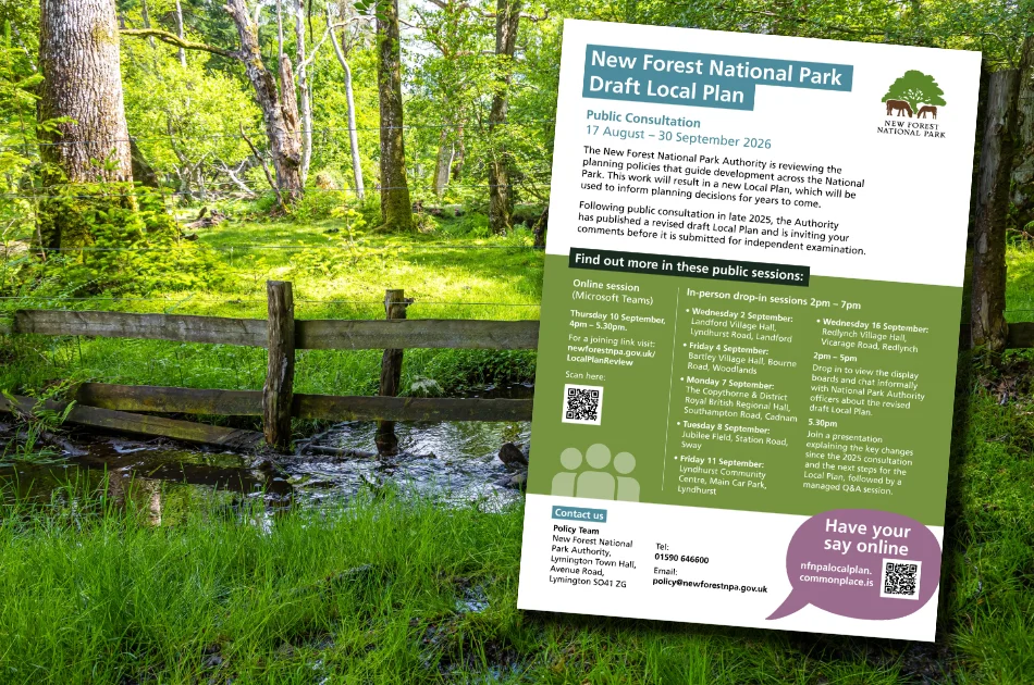 An informational flyer about the New Forest National Park Draft Local Plan is overlaid on a scenic woodland stream and greenery. The flyer mentions public consultation dates, drop-in sessions, and contact details.